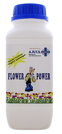 ARTS Flower Power Top Booster